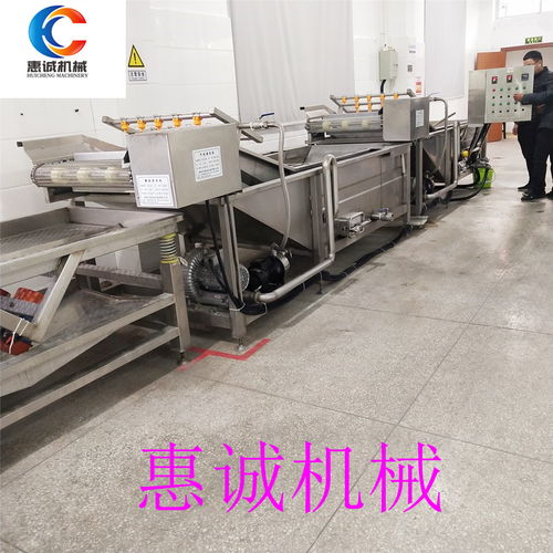 【廠家供應(yīng)氣泡清洗流水線氣泡清洗機(jī)果蔬清洗機(jī)等清洗設(shè)備】- 