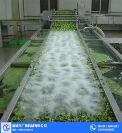 菠蘿沖浪式氣泡清洗機(jī)圖片 菠蘿沖浪式氣泡清洗機(jī) 諸城廣盈機(jī)械