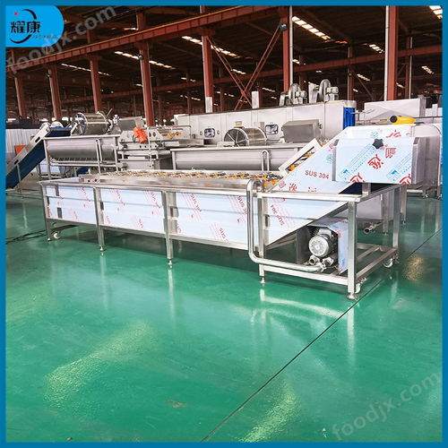 氣泡洗袋機 食品外包裝清洗設(shè)備 凈菜加工設(shè)備